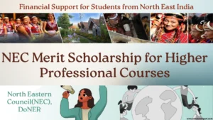 NEC Merit Scholarship for Higher Professional Courses