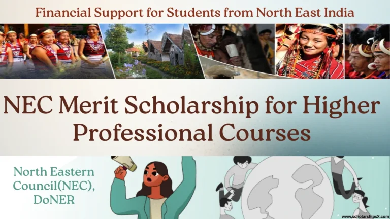 NEC Merit Scholarship for Higher Professional Courses